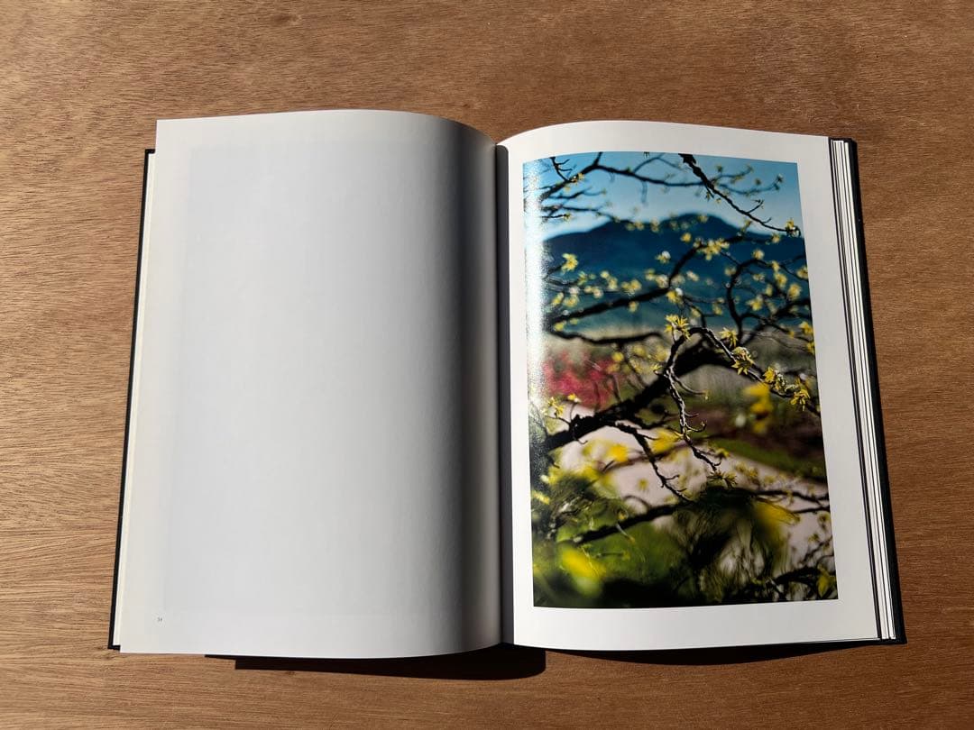 Lana by Terri Weifenbach ハードカバー - メルカリ