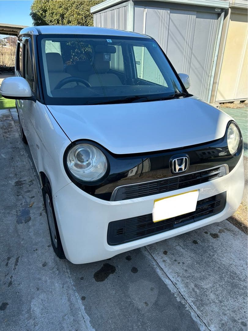 ホンダ　NONE コミコミ ホンダ（HONDA）1995年 Live Dio ZX・カラーチェンジのカタログ情報