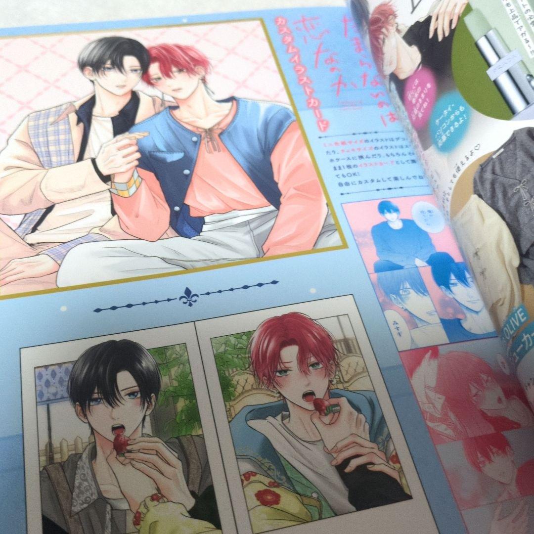 たまらないのは恋なのか∥雑誌∥切り抜き