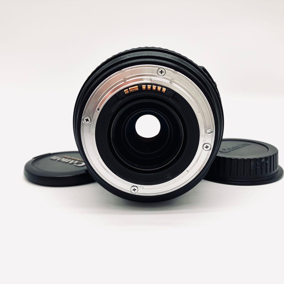 レンズ(ズーム) Canon EF 70-300mm F4.5-5.6 DO IS USM