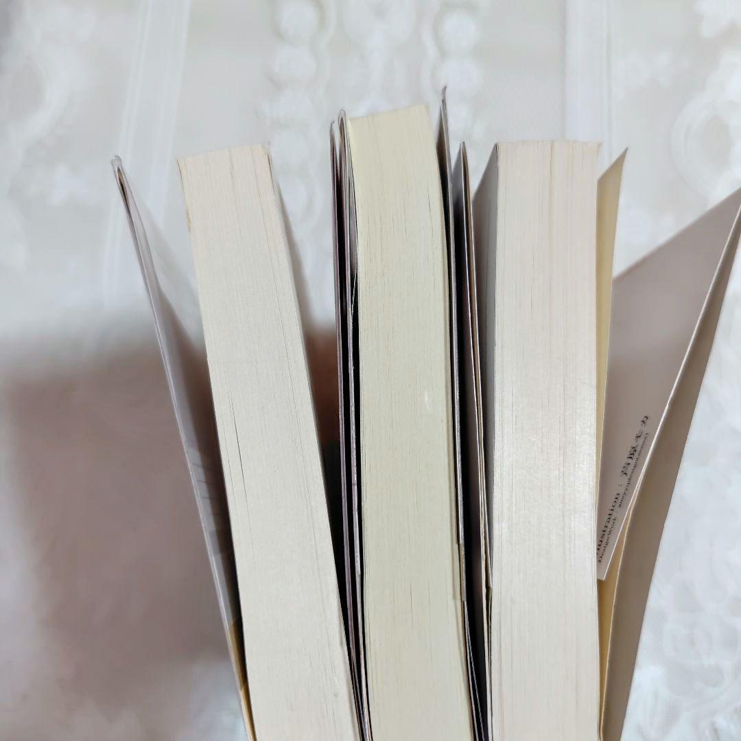 TL小説9 - メルカリ