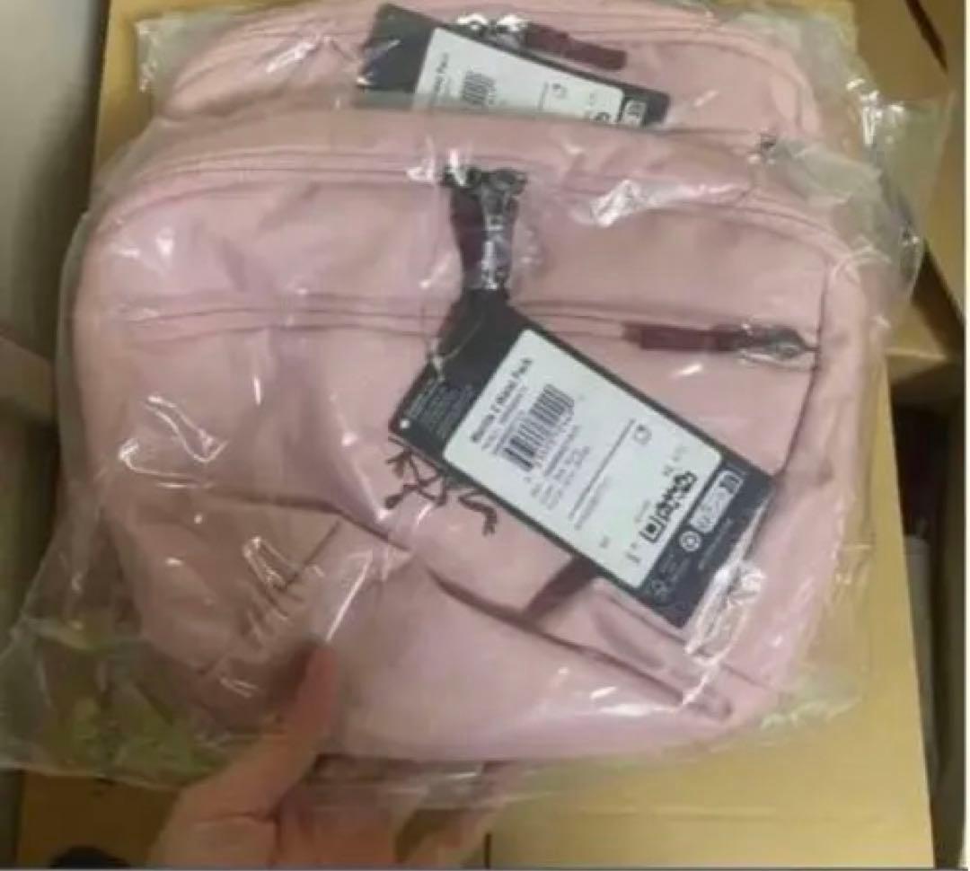 Arc'teryx Mantis 2 ウエストパック ピンク - メルカリ