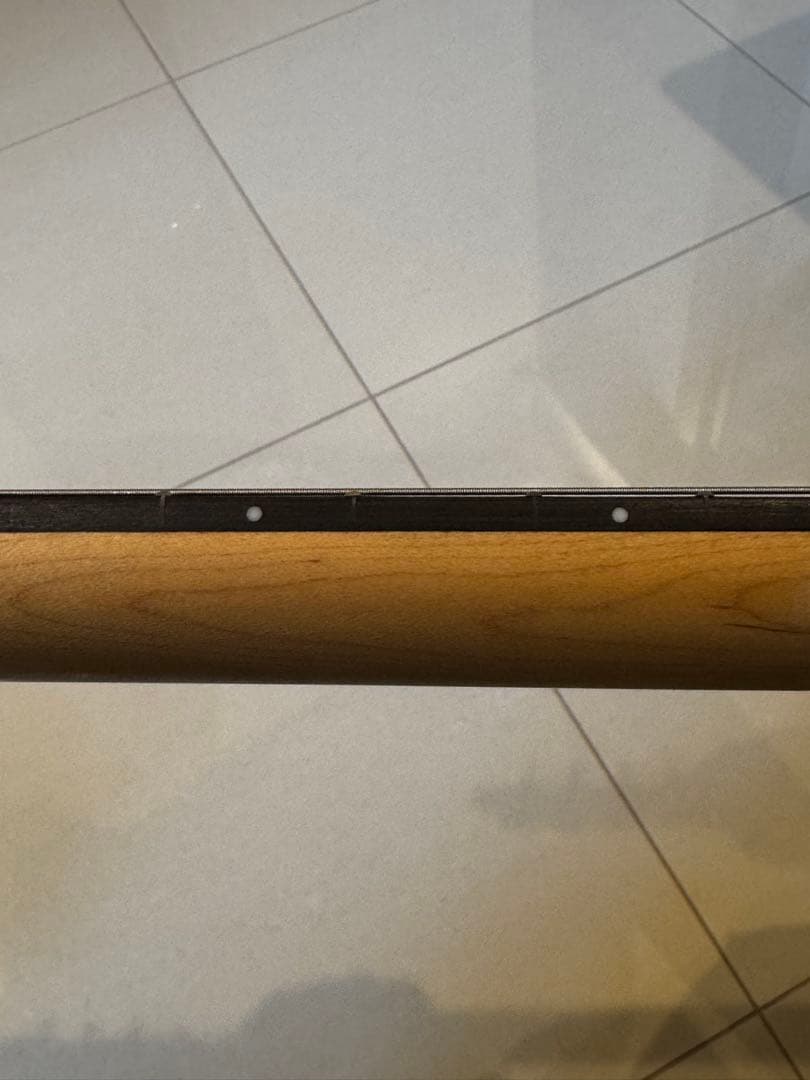 値引きしました。PLAYTECH エレキギター TL250初心者にぴったりです。