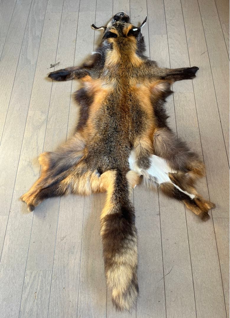 超希少 幻の十字ギツネ / クロスフォックス リアルファー C4☆ラグ