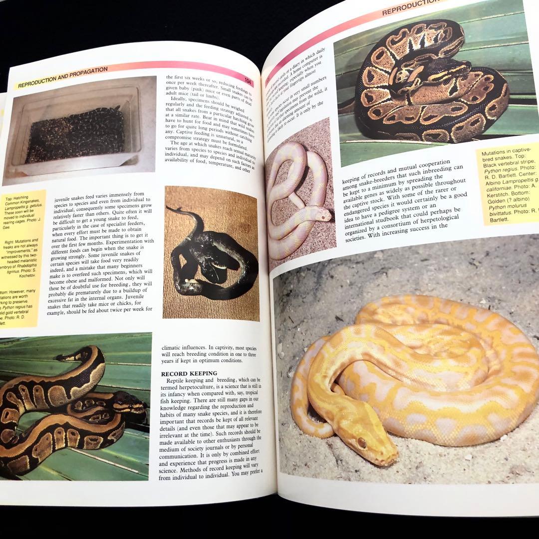 世界ヘビ図鑑「The Atlas of Snakes of the World」 - メルカリ