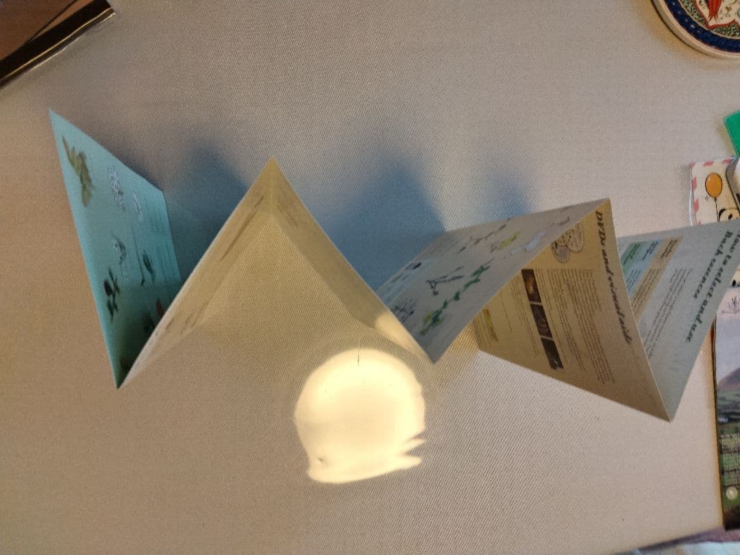 01/2036】フラワーエッセンスのフルセットと専用木箱♪ヒーリング