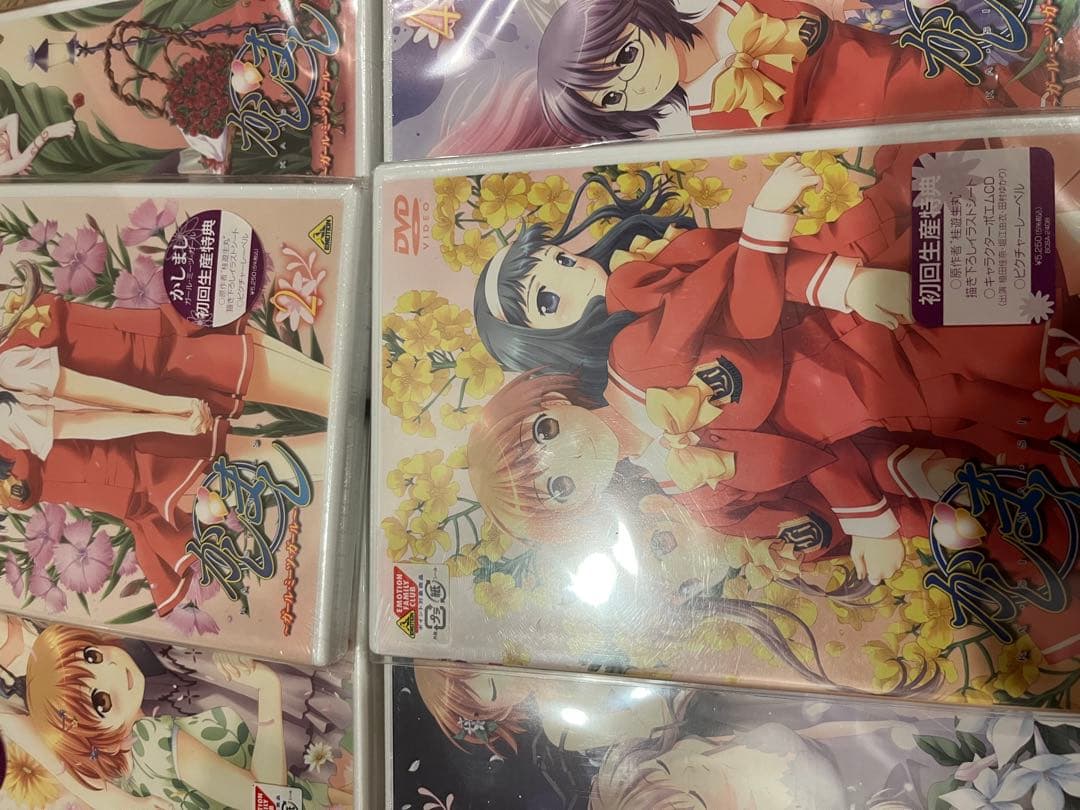 かしまし ガール・ミーツ・ガール DVD 全巻セット 初回版 BOX 未開封