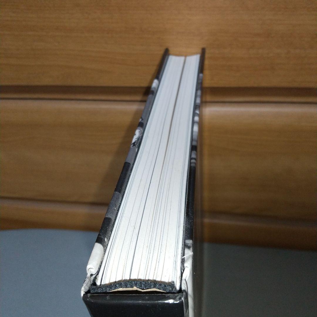 HELMUT NEWTON 1920-2004　洋書　【b4】