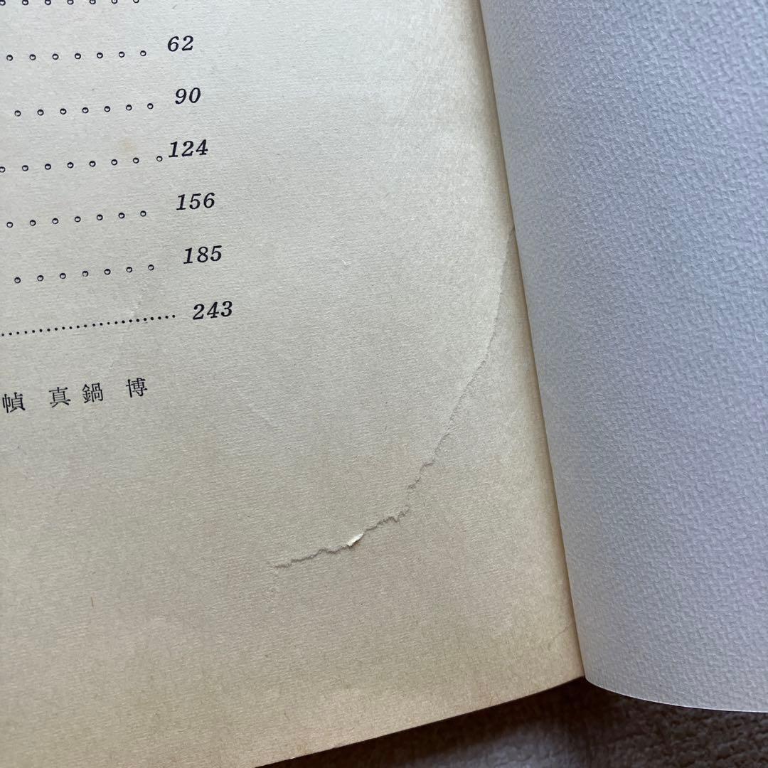 東京空襲　大屋典一　帯付き