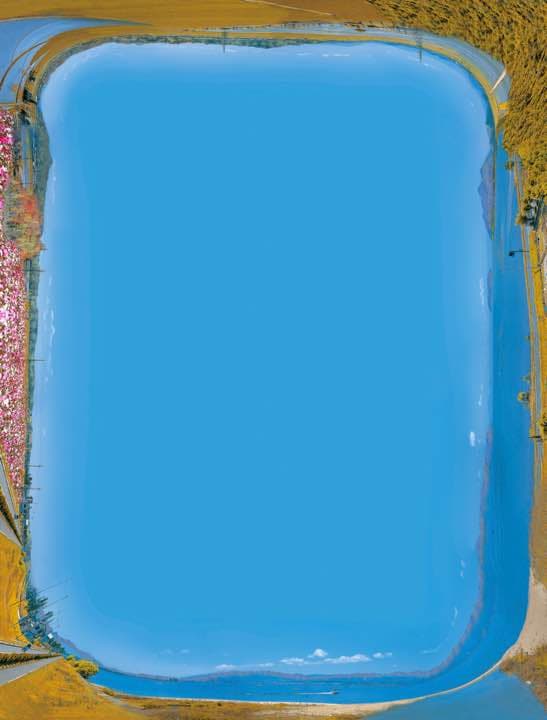 グラフィックアート Biwako360 °(autumn) Autumn in the Meadow 1000 Piece Puzzle – Galison