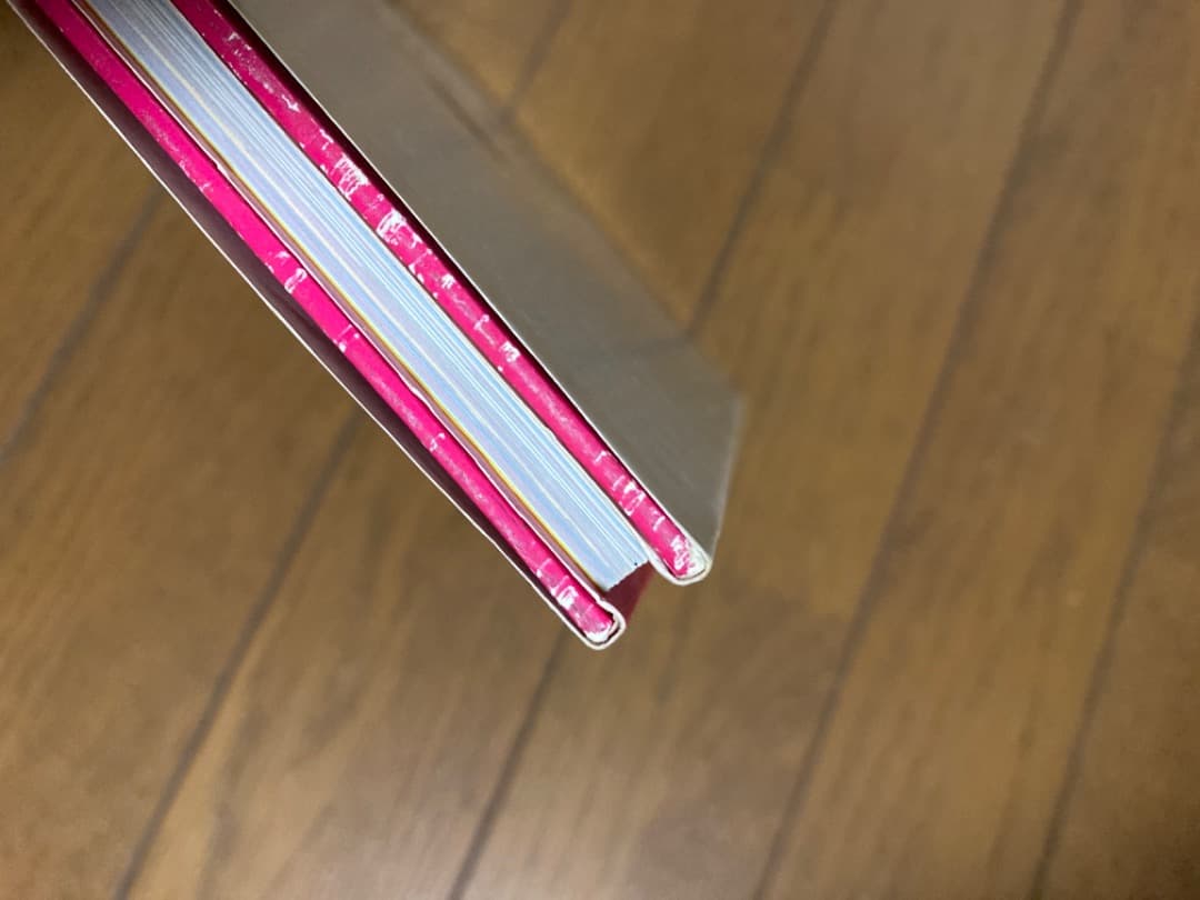 民族 大沼ショージ　タッド.ガーフィンクル