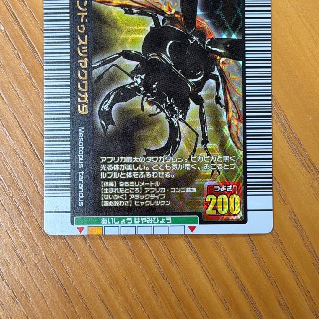 ムシキングカード 2005 タランドゥスツヤクワガタ - メルカリ