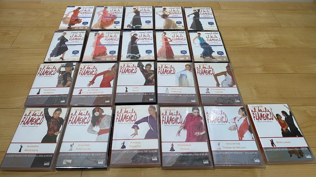 【21全巻セット】エル・バイレ・フラメンコ DVD教材 マヌエル・サラド