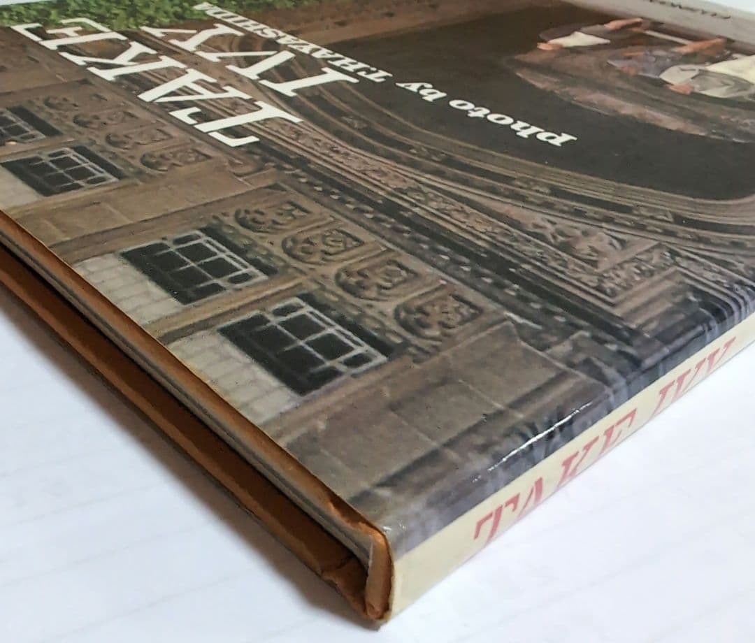 TAKE IVY / 婦人画報社