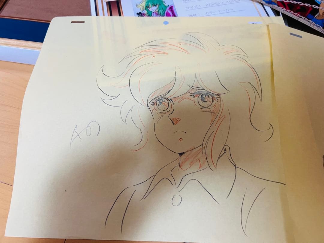 聖闘士星矢 荒木伸吾先生直筆サインカラー色紙 証明書額付 瞬 一輝