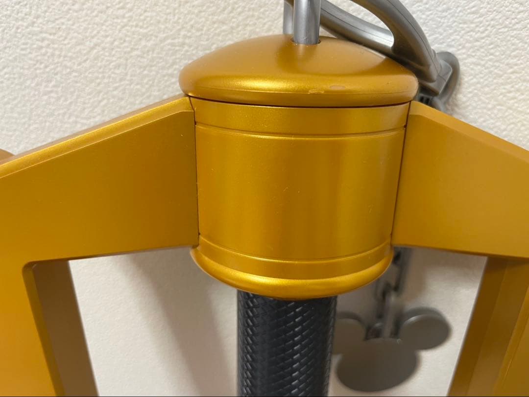 らいじんです★