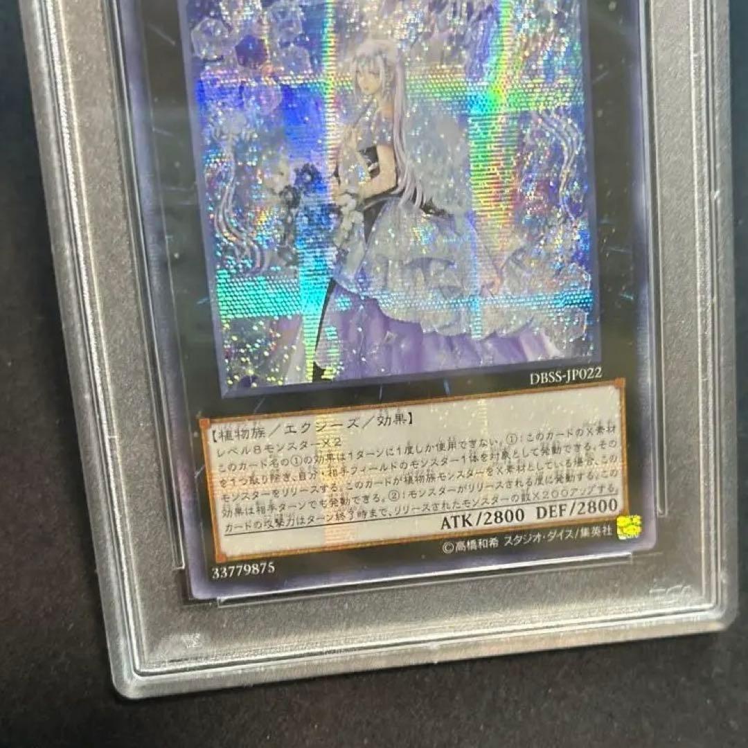 PSA10 アジアシク 貫通横シク 六花聖ティアドロップ - メルカリ