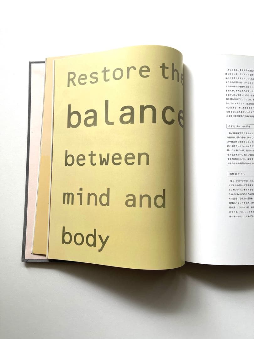 Sensual 　ハードカバー　センシュアルホーム　イルゼ・クロフオード