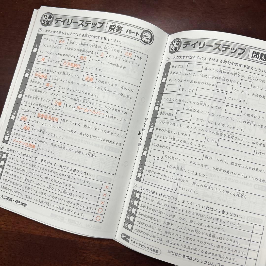 ㉑AA 未記入 サピックス SAPIX 5年 社会 夏期講習 サマーサピックス