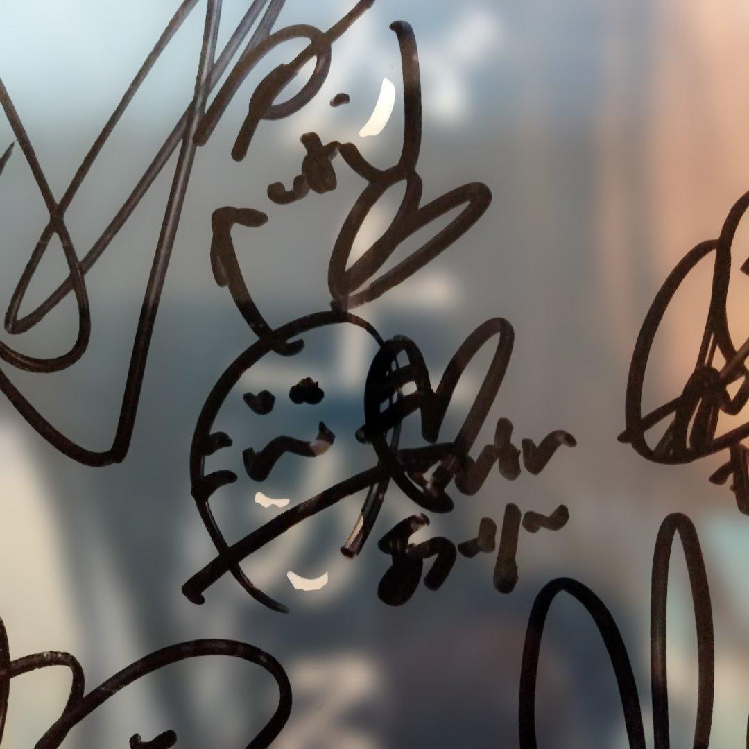 幕が上がる(全メンバーサイン入り) メンバー全員のサイン入りDVDになります。