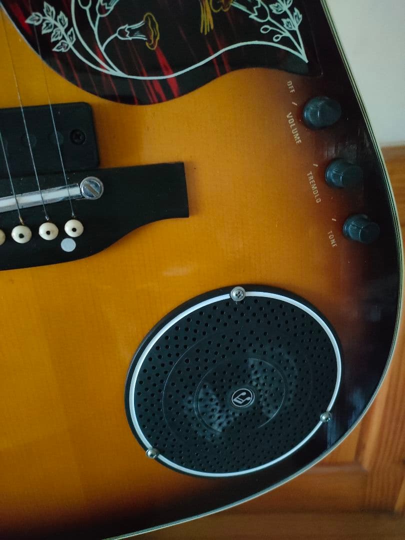 ELFOLK アコースティックギター サンバーストの通販はau PAY