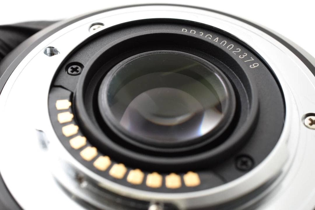 レンズ(ズーム) Panasonic LUMIX VARIO 14-140mm F3.5-5.6