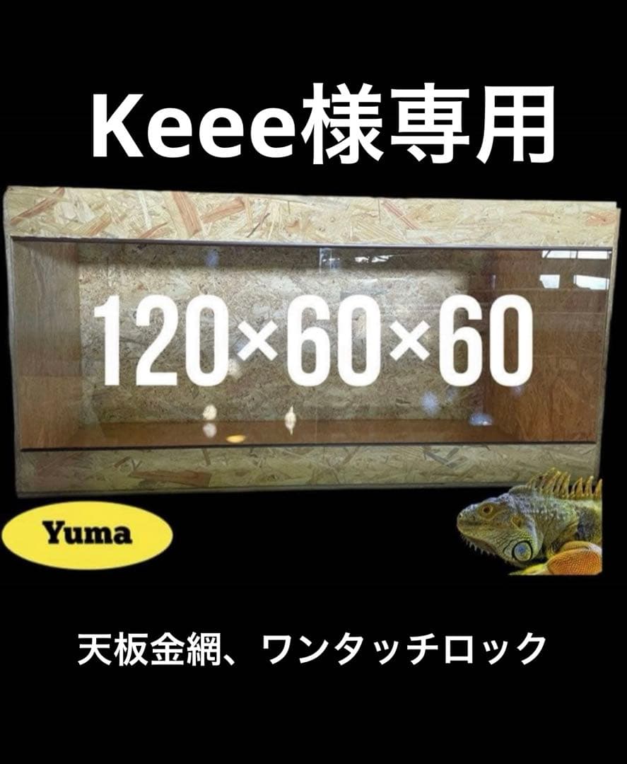 温室・飼育ケース Keee 楽天市場】送料無料 飼育ケース プラスチックケース プラケース 両生類