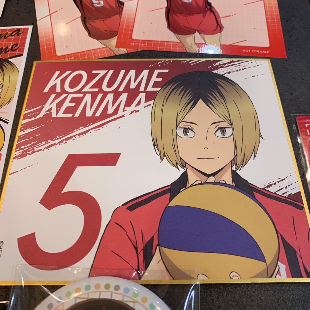 新品 ハイキュー！！ 孤爪研磨 グッズセット ぬいぐるみ 缶バッジ