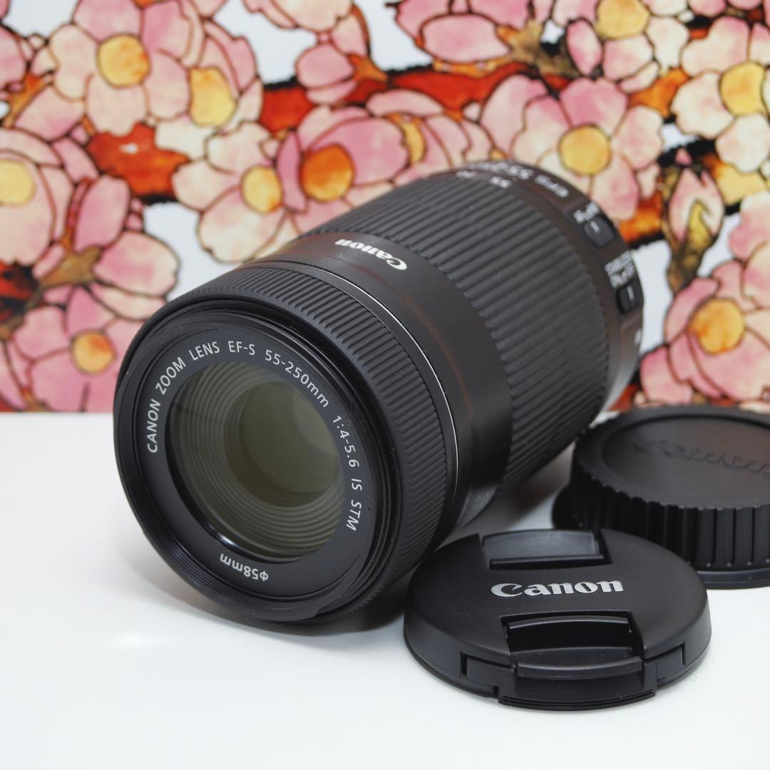 ❤️高性能望遠レンズ❤️Canon EF-S 55-250mm IS STM❤️ Amazon.com : Canon EF-S 55-250mm f/4-5.6 IS STM Telephoto Zoom