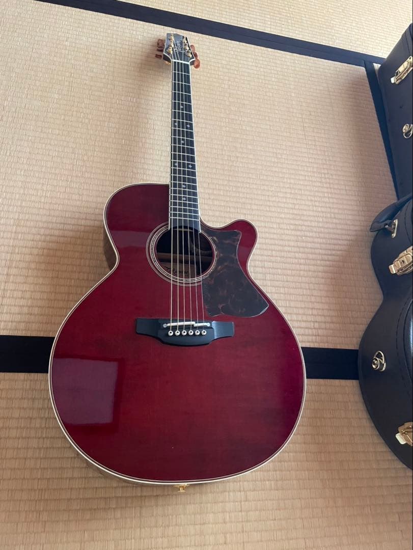 Takamine DMP50S WR アコースティックギター Amazon | Takamine DMP50S WR エレアコギター 島村楽器 x Takamine