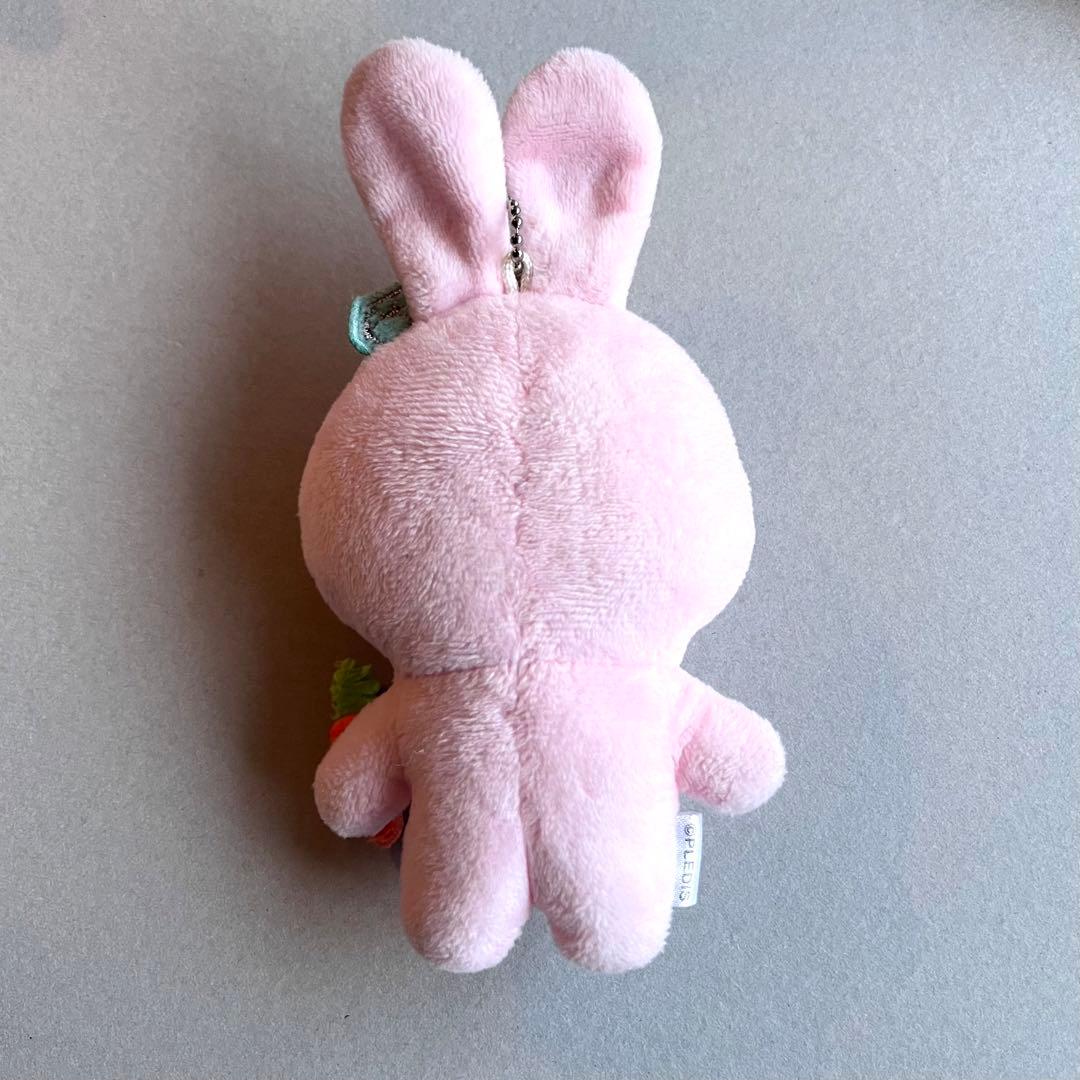 SEVENTEENセブチ ボンボンイ ぬいぐるみ 着ぐるみBONGBONG - メルカリ