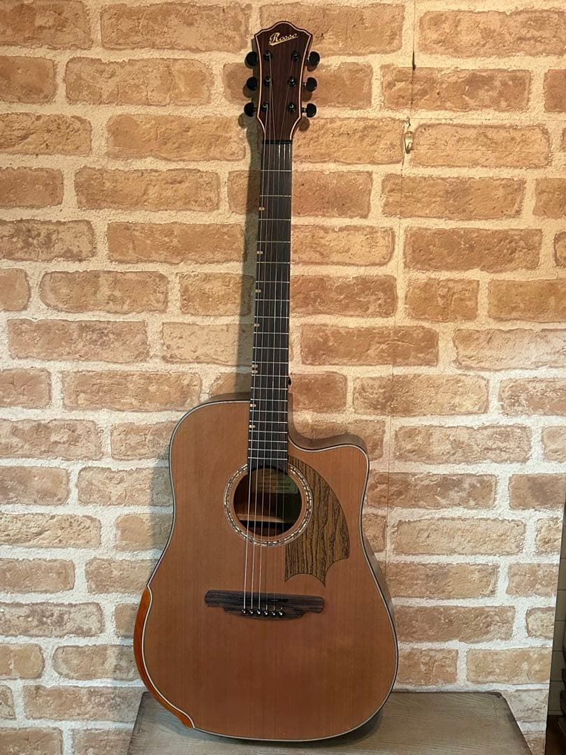 ROSSO(ロッソ)アコースティックギター ROSSO (ロッソ) エレクトリックアコースティックギター L-950