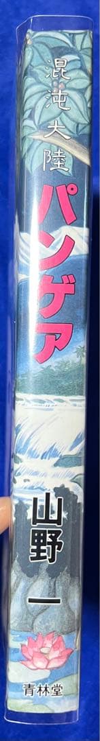 青林堂】混沌大陸・パンゲア / 山野一 - メルカリ