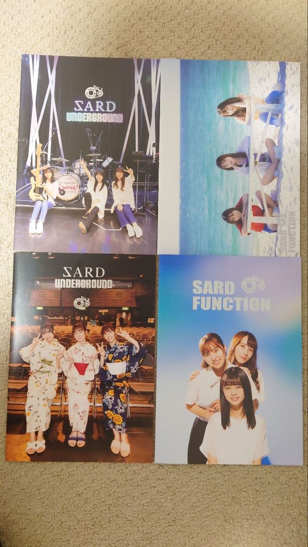 SARD UNDERGROUND ファンクラブ会報 バッジ ボールペン SARD