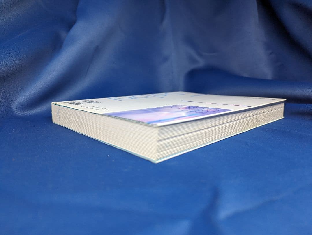 ●C 遊ぶDelphi  2.0J 山田昭哲 BNN