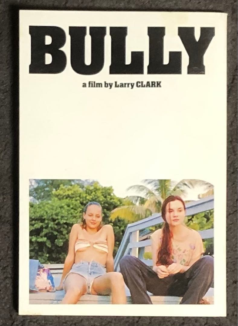 貴重‼️ Larry Clark Bully パンフレット - メルカリ
