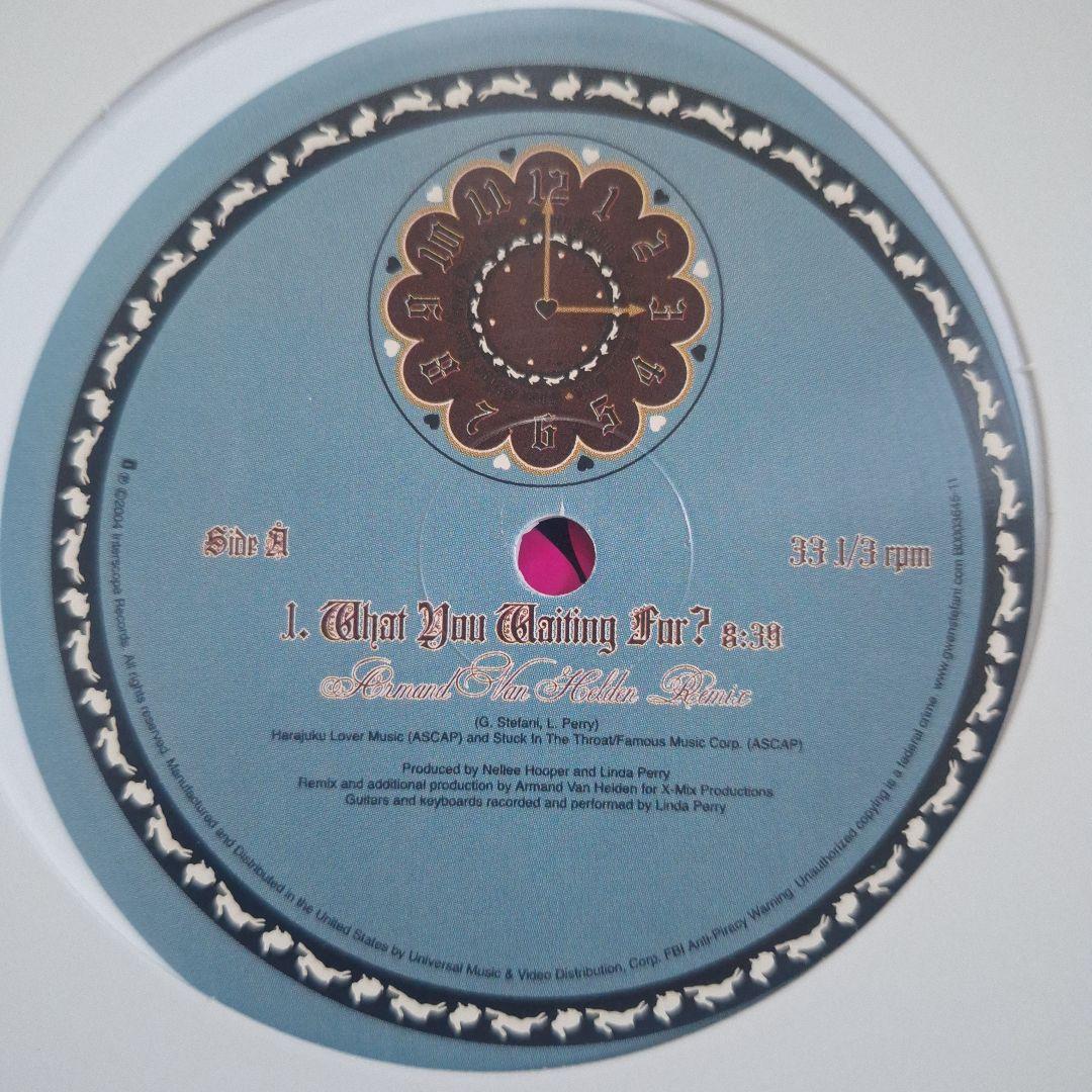 テクノ ハウス デジロック系 レコード 11枚セット