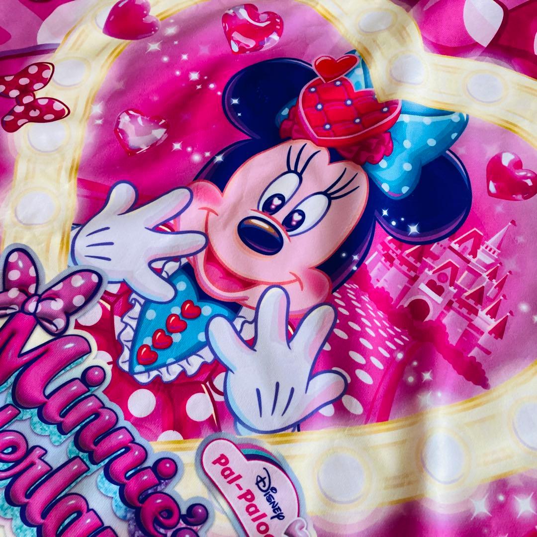 新品未使用】ディズニー パルパルーザ ブランケット ミニーのファン