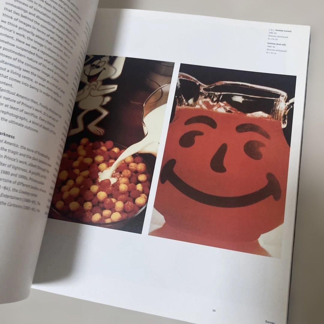 リチャードプリンス 画集 ルイ・ヴィトン マークジェイコブス