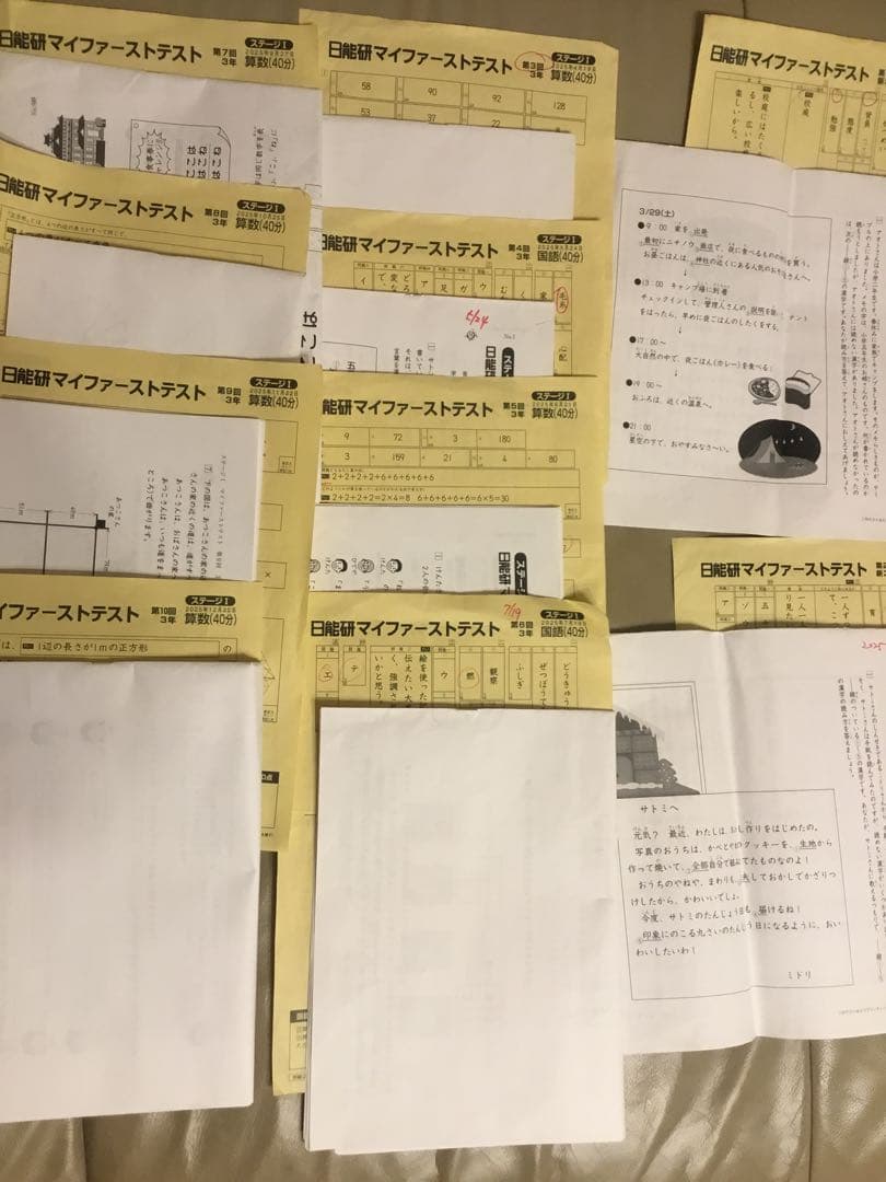3年生 日能研2025年マイファーストテスト(第1回〜第10回)-白鳥の