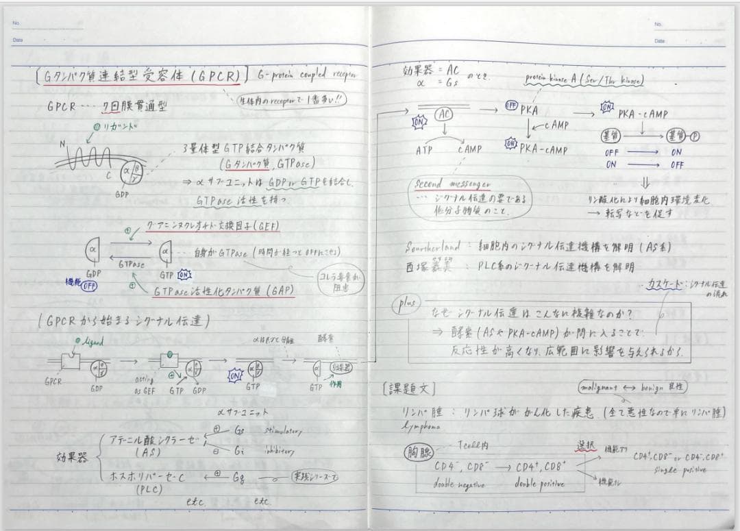 医学部学士編入 河合塾KALS 合格者講義ノート（基礎＋完成＋実戦）
