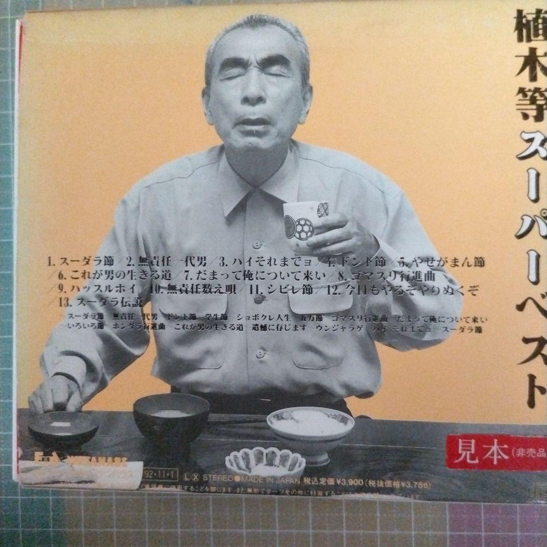 坂本慎太郎インタビュー - TOKION ［LP］Blessing SUBURBIA meets P