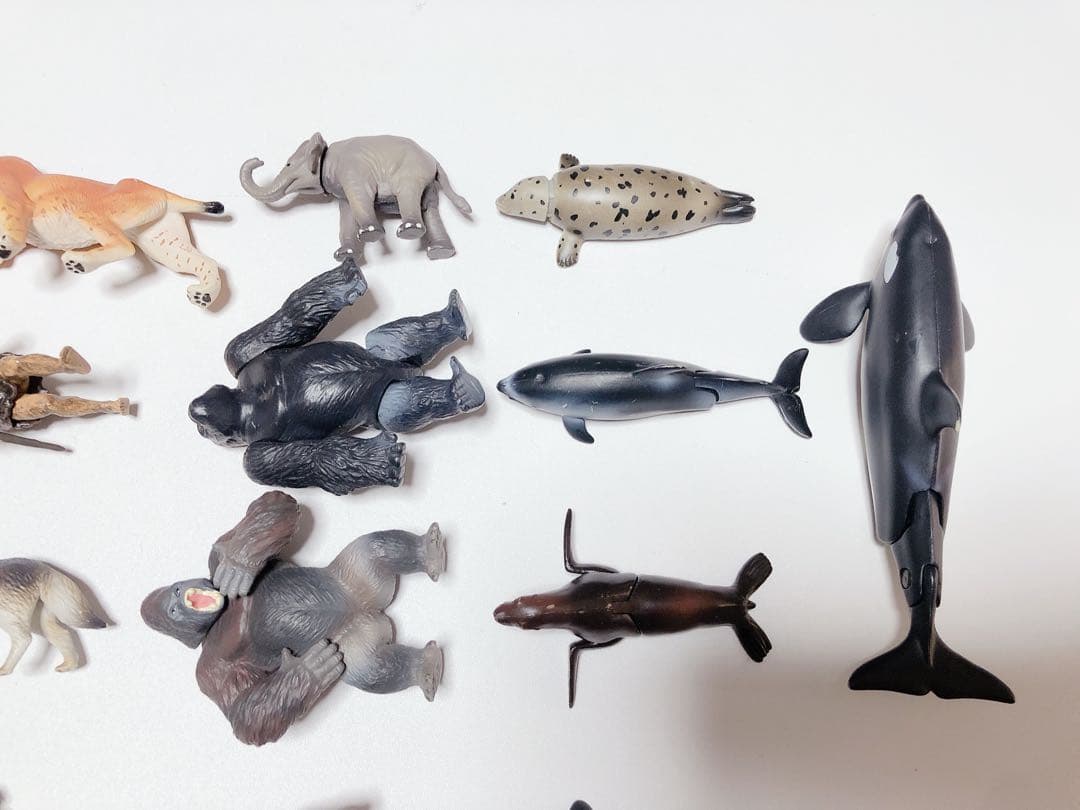 J. アニア 動物 バラ売り可能 組合せ自由 恐竜 水族館 フィギュア