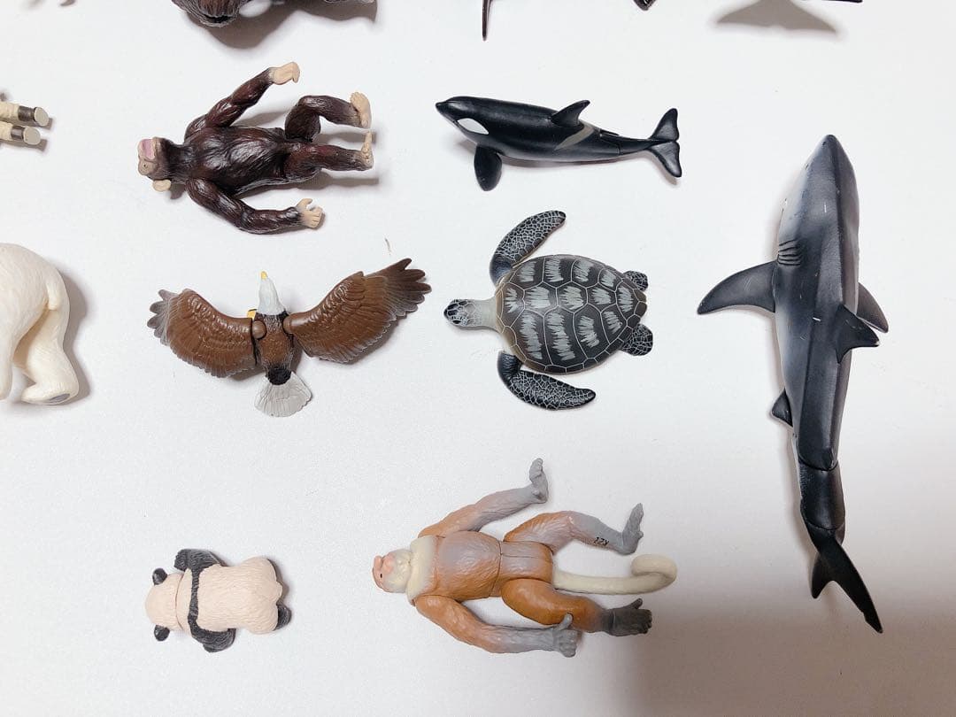 J. アニア 動物 バラ売り可能 組合せ自由 恐竜 水族館 フィギュア