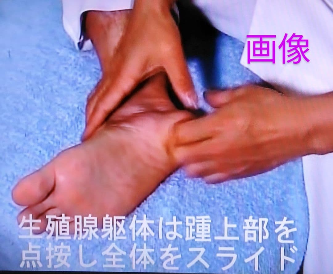 A6:足つぼ（DVD）学ぶ・足部反射療法自己練習用基礎編プロの教材set