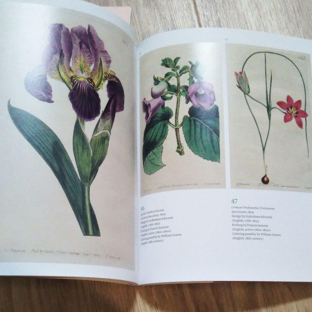 図録『永遠に花咲く庭 17ー19世紀の西洋植物画』