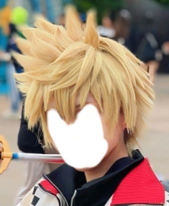 ロクサス コスプレウィッグ | 激安通販のイーサプライ