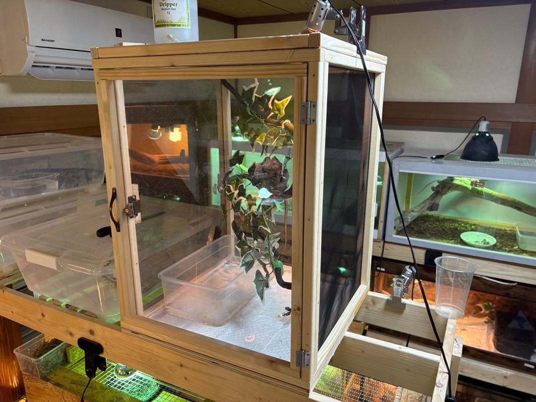 爬虫類ケージ 60×40×40 メッシュ アクリル扉 カメレオン ケージ ペット