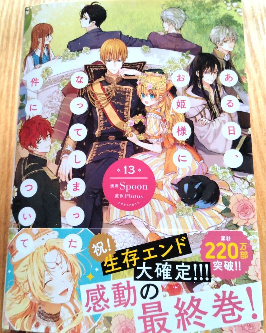 ある日、お姫様になってしまった件について 13 新刊 1月 カラー 最終巻