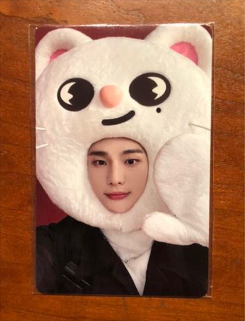 StrayKids スキズ 【ヒョンジン】JYP SKZOO - メルカリ